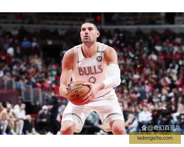 武切维奇无名指骨折康复顺利 三周内或重返赛场